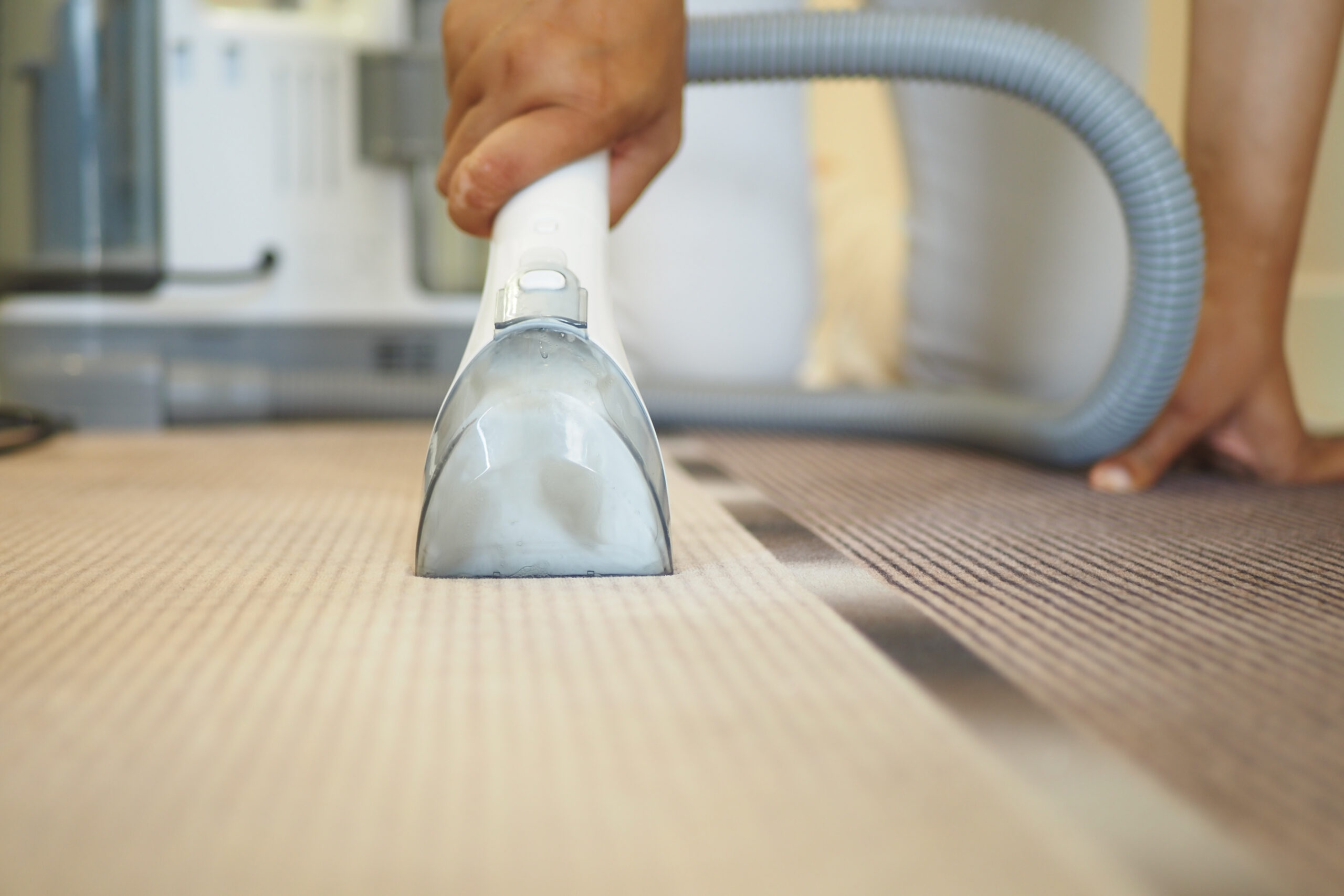 Carpet Cleaning Services